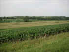 pict3857.jpg (79653 bytes)