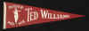 1383TedWilliamsPen.jpg (67373 bytes)