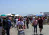 Crowds 1.jpg (395652 bytes)