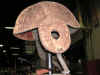DOgEarFBHelmet.JPG (613279 bytes)
